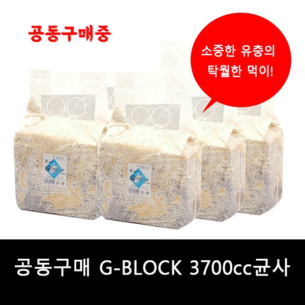 공동구매 G-BLOCK 3700cc균사*6EA/BOX
