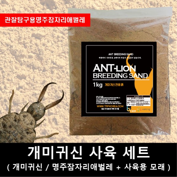 개미귀신키우기/명주잠자리애벌레/개미귀신사육세트